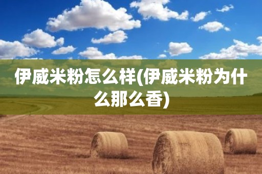 伊威米粉怎么样(伊威米粉为什么那么香)