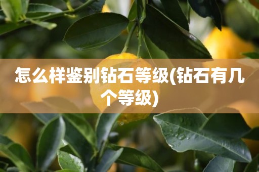 怎么样鉴别钻石等级(钻石有几个等级)