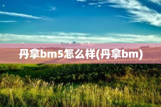 丹拿bm5怎么样(丹拿bm)