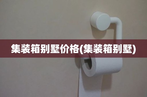 集装箱别墅价格(集装箱别墅)