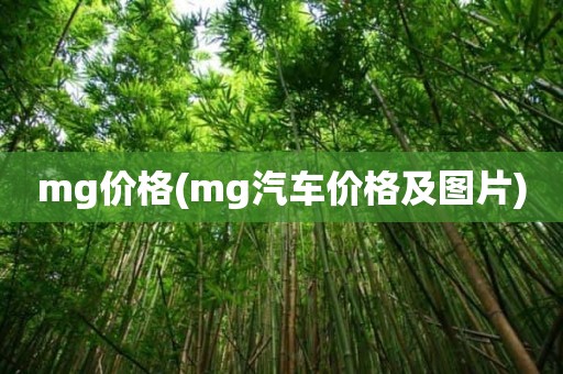 mg价格(mg汽车价格及图片)