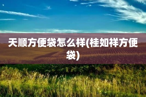 天顺方便袋怎么样(桂如祥方便袋)