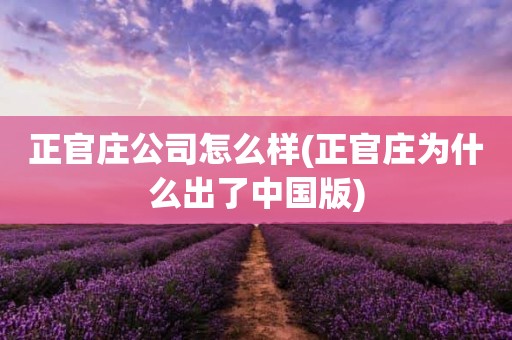 正官庄公司怎么样(正官庄为什么出了中国版)