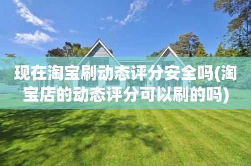 现在淘宝刷动态评分安全吗(淘宝店的动态评分可以刷的吗)