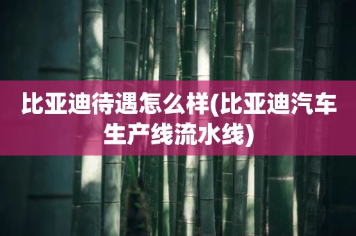 比亚迪待遇怎么样(比亚迪汽车生产线流水线)