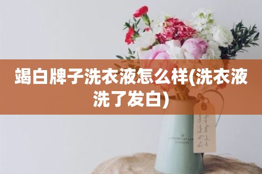 竭白牌子洗衣液怎么样(洗衣液洗了发白)