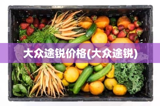大众途锐价格(大众途锐)