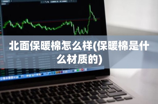 北面保暖棉怎么样(保暖棉是什么材质的)