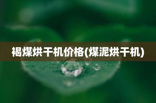 褐煤烘干机价格(煤泥烘干机)