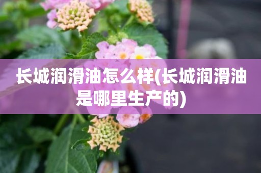 长城润滑油怎么样(长城润滑油是哪里生产的)