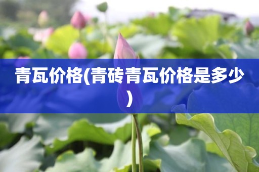 青瓦价格(青砖青瓦价格是多少)