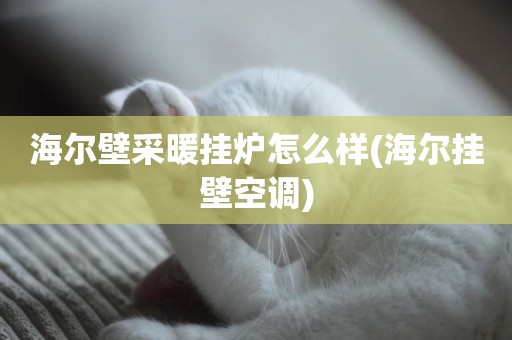 海尔壁采暖挂炉怎么样(海尔挂壁空调)