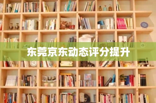 东莞京东动态评分提升