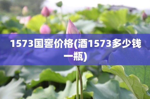 1573国窖价格(酒1573多少钱一瓶)