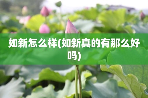 如新怎么样(如新真的有那么好吗)