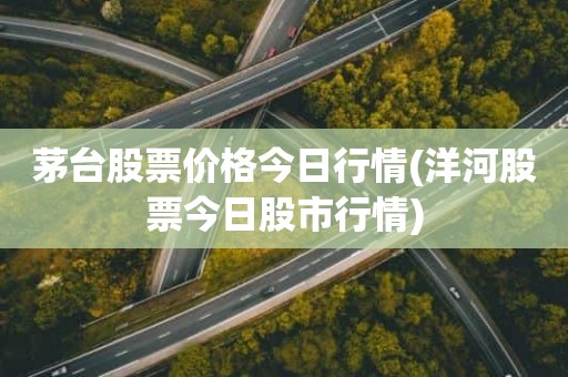 茅台股票价格今日行情(洋河股票今日股市行情)
