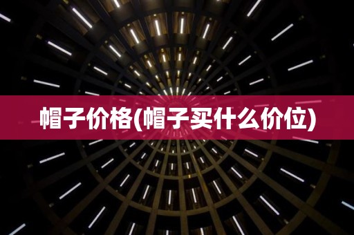帽子价格(帽子买什么价位)
