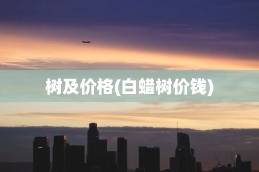 树及价格(白蜡树价钱)