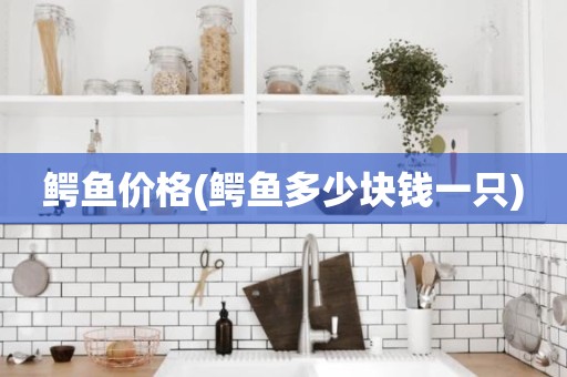鳄鱼价格(鳄鱼多少块钱一只)