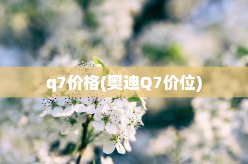 q7价格(奥迪Q7价位)