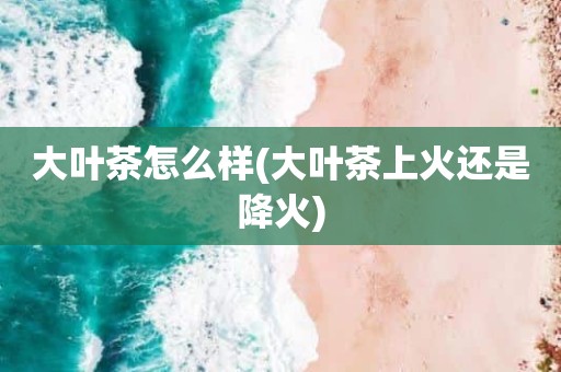 大叶茶怎么样(大叶茶上火还是降火)