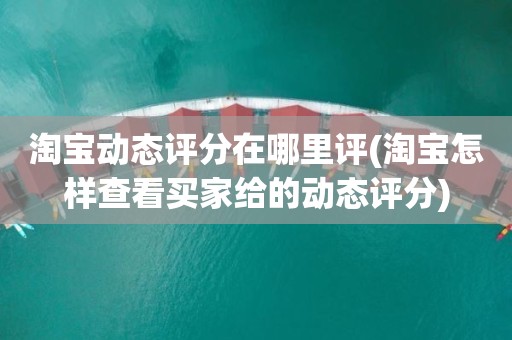 淘宝动态评分在哪里评(淘宝怎样查看买家给的动态评分)