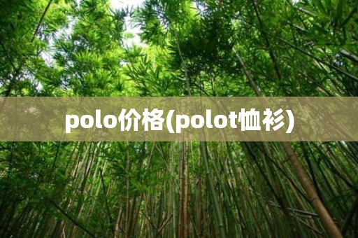 polo价格(polot恤衫)