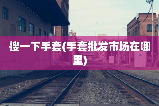 搜一下手套(手套批发市场在哪里)