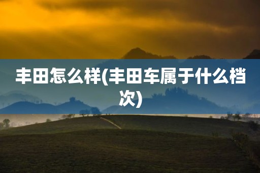 丰田怎么样(丰田车属于什么档次)