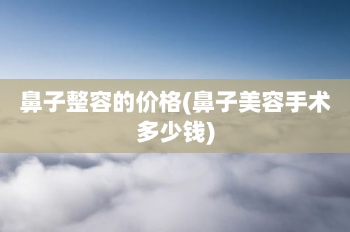 鼻子整容的价格(鼻子美容手术多少钱)