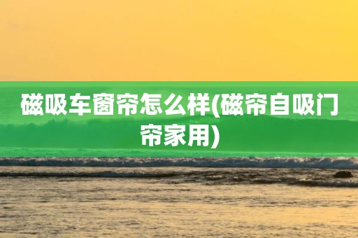 磁吸车窗帘怎么样(磁帘自吸门帘家用)