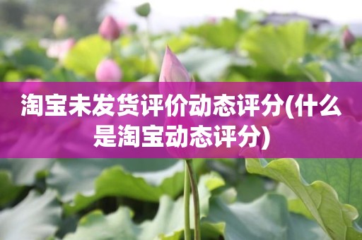 淘宝未发货评价动态评分(什么是淘宝动态评分)