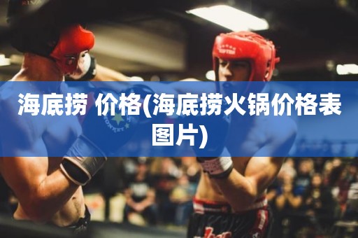 海底捞 价格(海底捞火锅价格表图片)