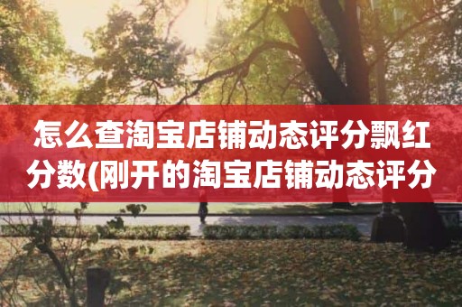 怎么查淘宝店铺动态评分飘红分数(刚开的淘宝店铺动态评分什么时候开始显示)