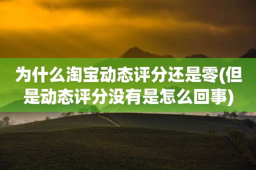为什么淘宝动态评分还是零(但是动态评分没有是怎么回事)