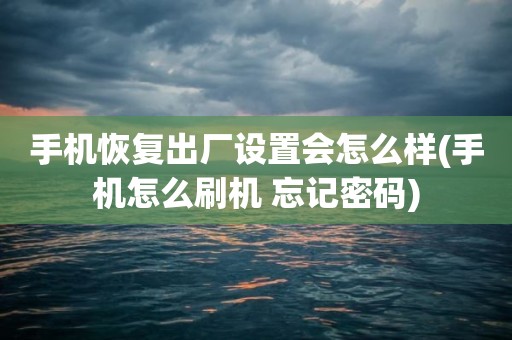 手机恢复出厂设置会怎么样(手机怎么刷机 忘记密码)