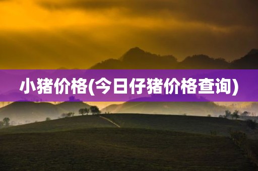 小猪价格(今日仔猪价格查询)