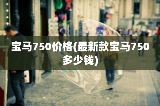 宝马750价格(最新款宝马750多少钱)