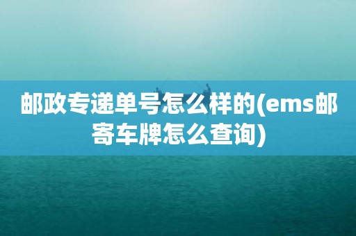 邮政专递单号怎么样的(ems邮寄车牌怎么查询)