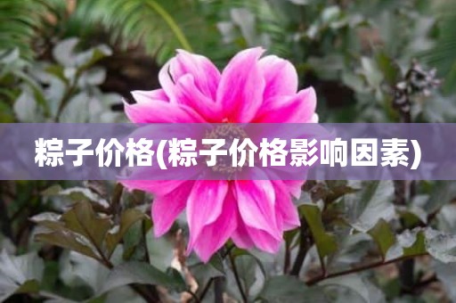 粽子价格(粽子价格影响因素)
