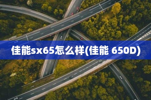 佳能sx65怎么样(佳能 650D)