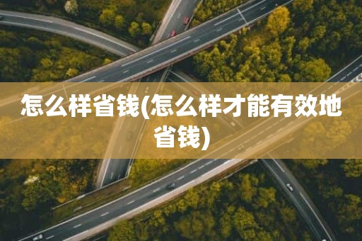 怎么样省钱(怎么样才能有效地省钱)