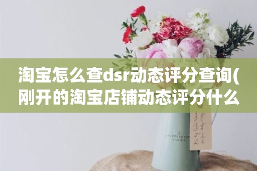 淘宝怎么查dsr动态评分查询(刚开的淘宝店铺动态评分什么时候开始显示)