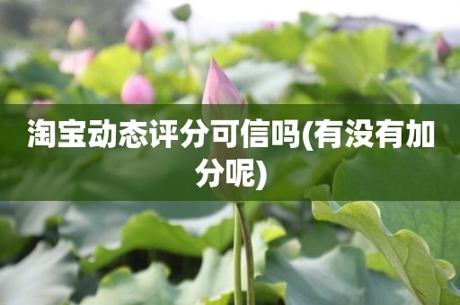 淘宝动态评分可信吗(有没有加分呢)