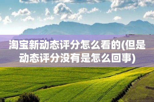 淘宝新动态评分怎么看的(但是动态评分没有是怎么回事)