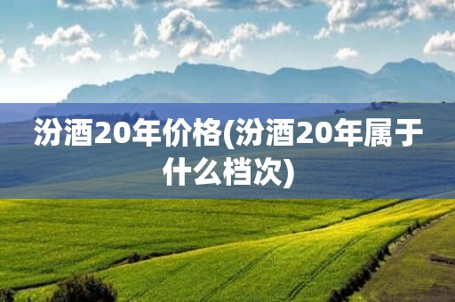 汾酒20年价格(汾酒20年属于什么档次)