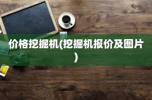 价格挖掘机(挖掘机报价及图片)