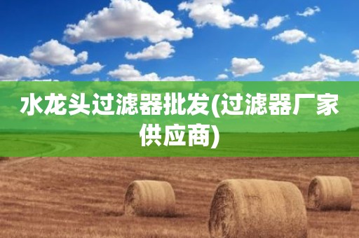 水龙头过滤器批发(过滤器厂家供应商)
