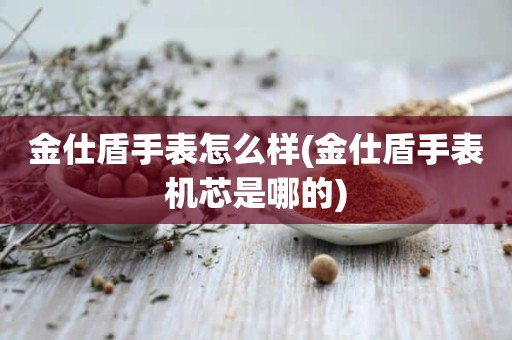 金仕盾手表怎么样(金仕盾手表机芯是哪的)