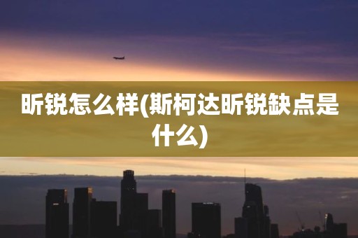 昕锐怎么样(斯柯达昕锐缺点是什么)